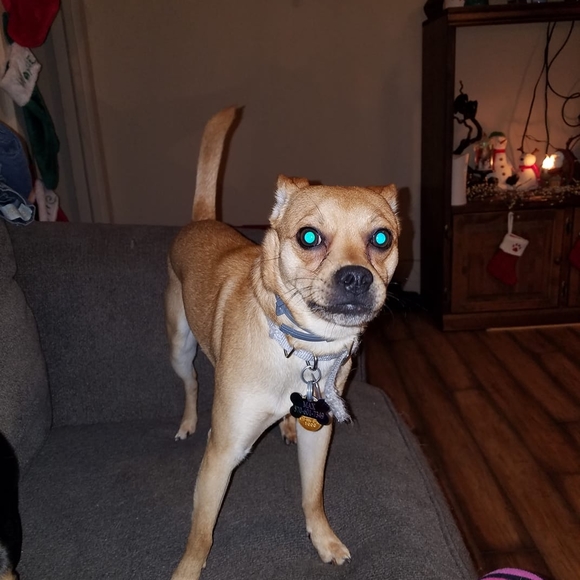 Meet your Posher, Wayne - Picture 1 of 1